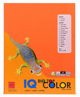 IQ Biotop Specialty Paper 10sheet per pack