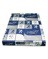 Digital Media Color Copy Coated Glossy 200gsm 250's/pack
