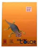 Biotop Mix Specialty Paper A4size 24sheets per pack