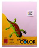 Biotop Mix  Specialty Paper 80gsm 24sheets per pack