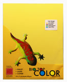 Biotop Mix  Specialty Paper 80gsm 24sheets per pack